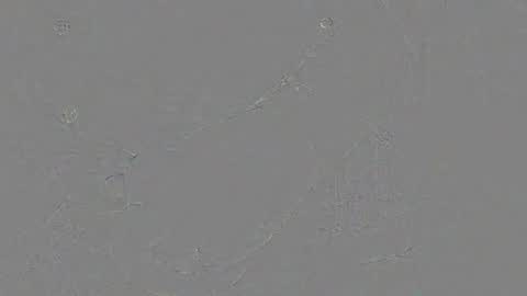 Jrgen Schnfeld online show from November 24, 2025, 10:48 am