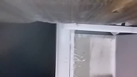 Snapshot of jugg3 chatting on December 9, 2024, 2:34 am Carlos online show from December 9, 2024, 2:34 am