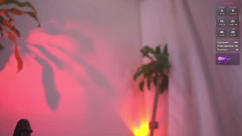 Sisi online show from April 6, 2026, 4:46 am