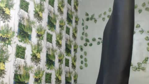 Mariagold online show from December 9, 2024, 11:58 am