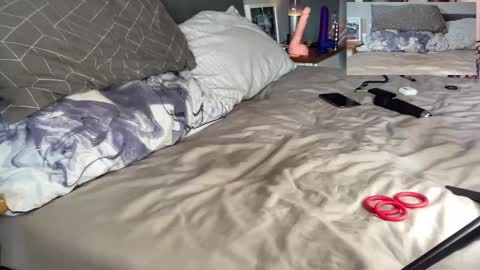 Daddy Tiger online show from September 15, 2025, 2:06 pm