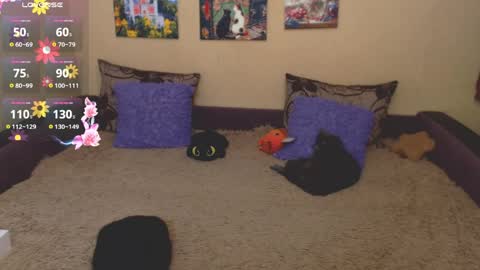 Jul online show from March 26, 2026, 9:59 am