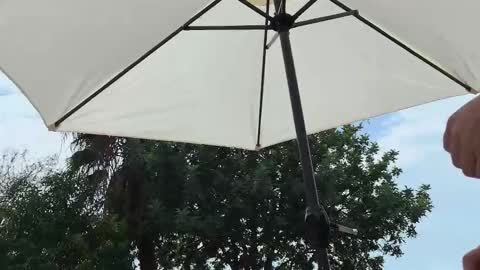 Snapshot of julie_joyride chatting on September 19, 2025, 1:45 pm Julie and TheAverageGuy aka Max online show from September 19, 2025, 1:45 pm