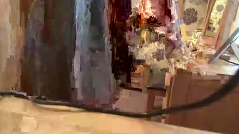 Snapshot of juliecd1955 chatting on November 6, 2025, 1:56 pm brian online show from November 6, 2025, 1:56 pm