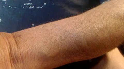 Werner online show from February 16, 2025, 4:53 pm