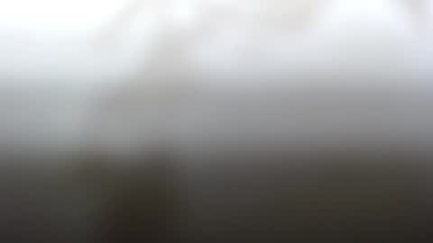 Snapshot of junk_yard_dog chatting on February 4, 2025, 2:21 pm Dave online show from February 4, 2025, 2:21 pm