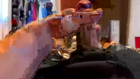 jussumwun online show from January 1, 2025, 3:03 pm