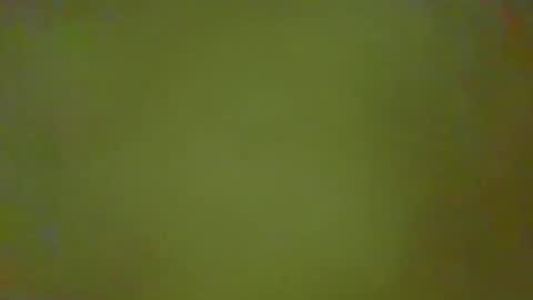 McKeefer online show from February 25, 2026, 2:37 pm