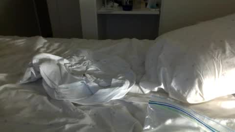 Snapshot of jwill10000 chatting on January 23, 2025, 11:37 am J and Sugar snap pea online show from January 23, 2025, 11:37 am