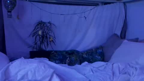 Snapshot of jwolf11851725 chatting on October 29, 2025, 10:06 am jwolf11851725 online show from October 29, 2025, 10:06 am