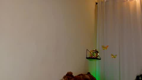 Kaaiiri online show from March 4, 2026, 8:42 am