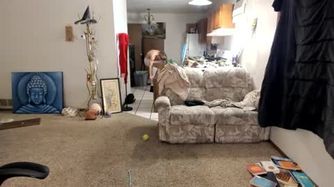 Kaiku77 online show from November 30, 2025, 5:44 am