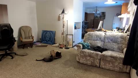 Kaiku77 online show from January 5, 2026, 8:01 pm