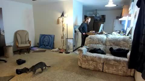 Kaiku77 online show from January 6, 2026, 8:56 pm