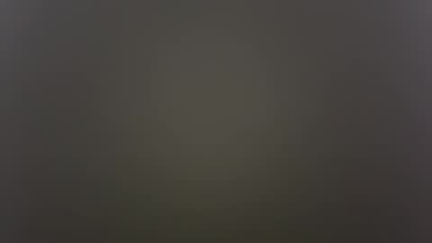          Anime Goth Kaila Kitty Kandy          online show from October 30, 2025, 8:49 am