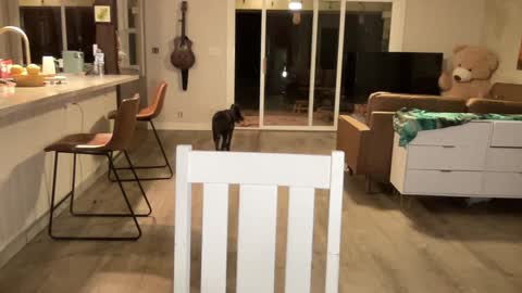 Snapshot of kaileeshy chatting on September 27, 2025, 4:39 am Kailee Smile online show from September 27, 2025, 4:39 am