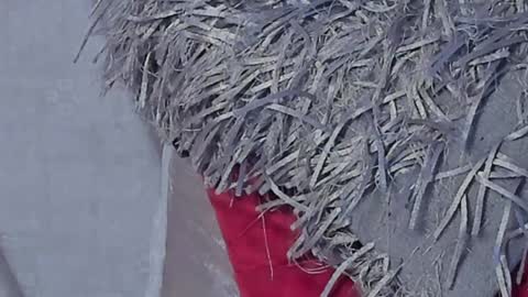 KaliMonroe online show from January 16, 2025, 2:41 pm