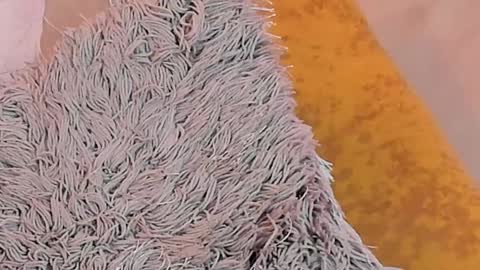 KaliMonroe online show from January 26, 2025, 5:13 pm