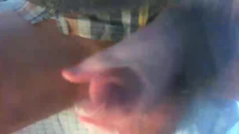 Snapshot of kamabo2 chatting on April 7, 2026, 5:35 pm kamabo2 online show from April 7, 2026, 5:35 pm
