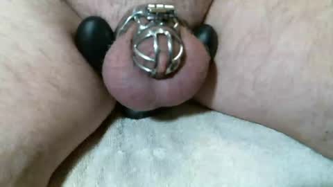 Snapshot of kansascam chatting on January 12, 2026, 2:44 pm KC Cam online show from January 12, 2026, 2:44 pm