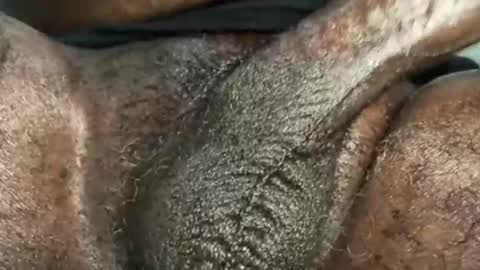 Snapshot of karadi5 chatting on December 4, 2024, 9:40 am Snookie online show from December 4, 2024, 9:40 am