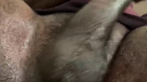 Snapshot of karadi5 chatting on December 5, 2024, 9:39 am Snookie online show from December 5, 2024, 9:39 am