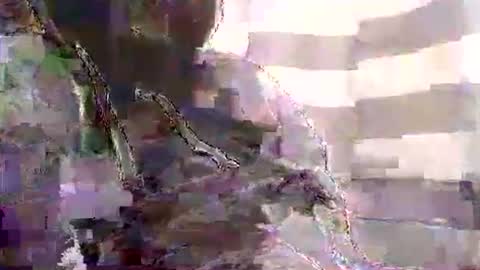 Snapshot of karnyx3 chatting on January 1, 2025, 10:54 am Karlos Montoya online show from January 1, 2025, 10:54 am