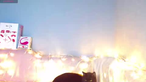 Kira online show from January 12, 2025, 6:39 am