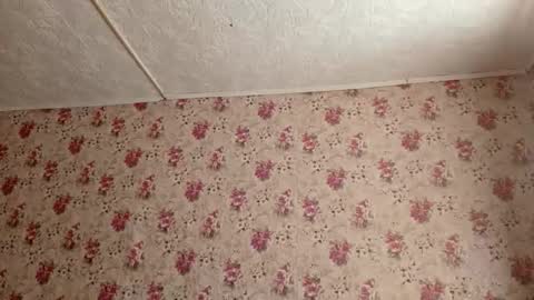 Sara online show from February 27, 2026, 7:19 am