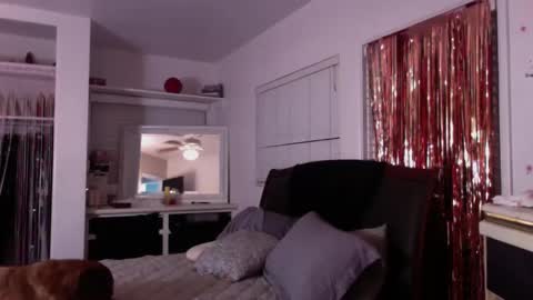 Snapshot of katbrake chatting on October 7, 2025, 7:38 am sexykat online show from October 7, 2025, 7:38 am