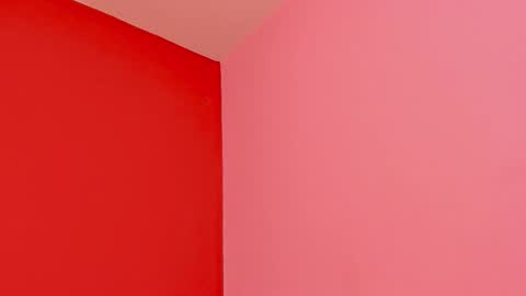 Kate  online show from February 22, 2026, 11:31 am