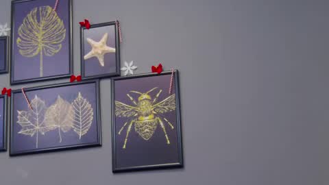 Snapshot of katewalker_ chatting on December 17, 2024, 12:23 am Kate online show from December 17, 2024, 12:23 am