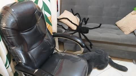 Snapshot of kathie_lozada chatting on October 28, 2025, 6:17 am kathie_lozada online show from October 28, 2025, 6:17 am