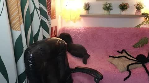 Snapshot of kathie_lozada chatting on October 31, 2025, 6:03 am kathie_lozada online show from October 31, 2025, 6:03 am