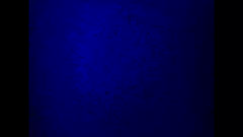 Snapshot of kathyfantasylover chatting on March 5, 2025, 10:21 pm kathy online show from March 5, 2025, 10:21 pm