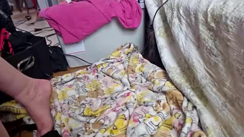 Snapshot of katladyzsafespace chatting on December 4, 2025, 5:54 pm katladyzsafespace online show from December 4, 2025, 5:54 pm