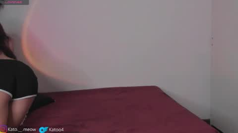 Kato online show from April 24, 2026, 4:48 am