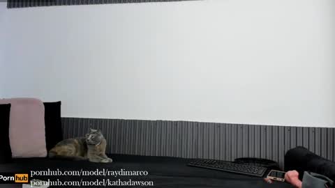 Snapshot of katt_diray chatting on May 13, 2026, 1:30 pm katha Ray Independient Model online show from May 13, 2026, 1:30 pm