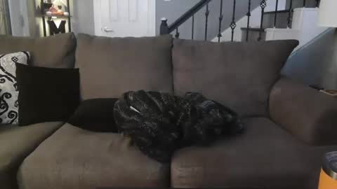 katycouple2003 online show from October 5, 2025, 5:17 am