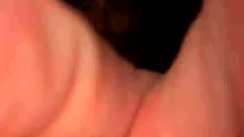 Snapshot of keepquietj chatting on January 20, 2025, 5:26 am keepquietj online show from January 20, 2025, 5:26 am