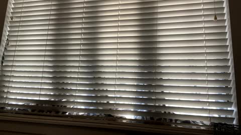 Snapshot of keepquietj chatting on February 7, 2025, 9:48 pm keepquietj online show from February 7, 2025, 9:48 pm