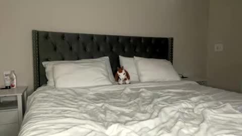 Kekeoutlaw online show from February 13, 2026, 2:57 pm