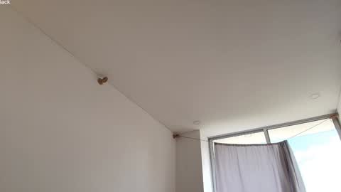 kendall online show from March 11, 2026, 4:24 pm