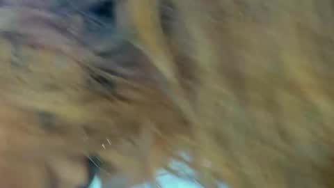 Snapshot of kendalstallyon chatting on November 27, 2025, 9:28 pm Kendal online show from November 27, 2025, 9:28 pm