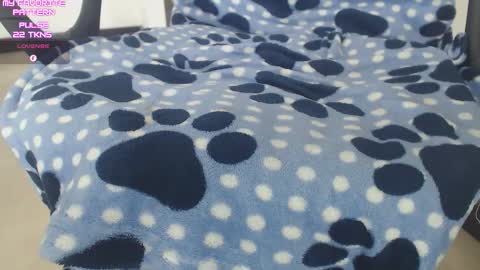 Kevin online show from November 18, 2025, 3:49 pm