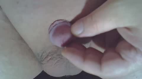 maggot online show from November 15, 2025, 1:47 am