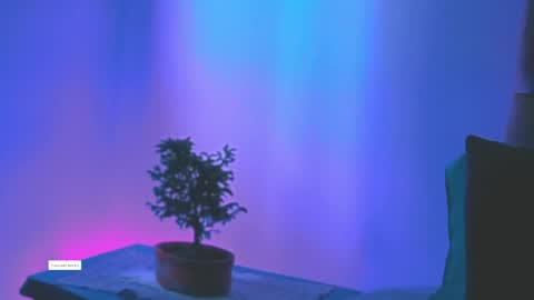 Snapshot of keyla_roberts_ chatting on May 10, 2026, 5:18 pm Adhara. Help me reach 100 likes online show from May 10, 2026, 5:18 pm