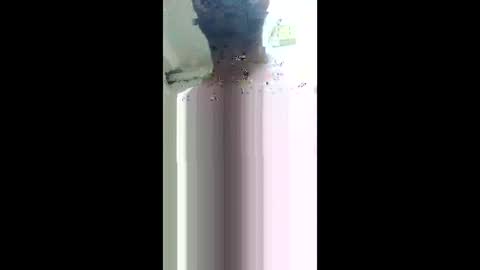 Khushipussy online show from December 4, 2025, 8:56 am