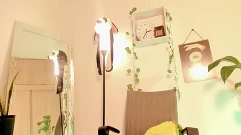 Kimm online show from January 14, 2025, 7:38 am