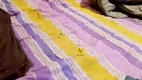 Snapshot of kingbat30 chatting on March 2, 2025, 12:42 am kingbat30 online show from March 2, 2025, 12:42 am